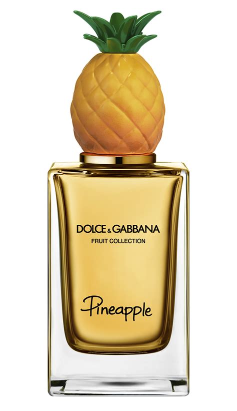 dolce gabbana roupas femininas|dolce and gabbana unisex fragrance.